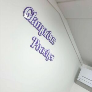 Double Layer Acrylic Business Sign Custom Logo