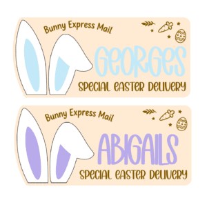 Easter Bunny Express Mail Crate Plaque with Side Ears, custom, handcrafted, layered acrylic, easter-themed, easter, easter.